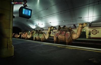 pour fair casa a tang� fau prendre le train ultra moderne